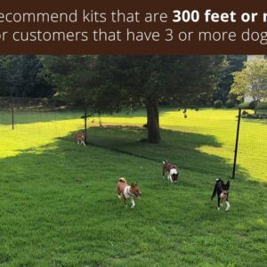 3dogs