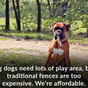 affordable dog fence