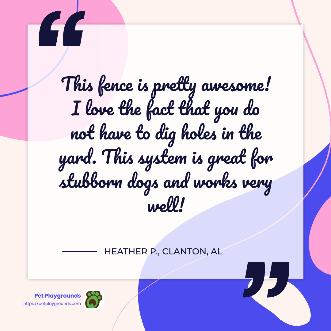 Customer testimonial - pet boundary fence infographic simple-quote-colorful