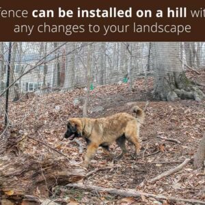 hill-black-face-dog