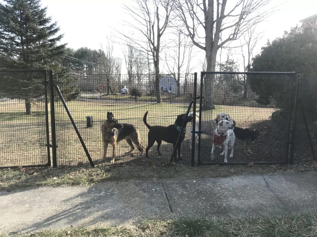 Anti-climb and anti-dig features - pet safety fence