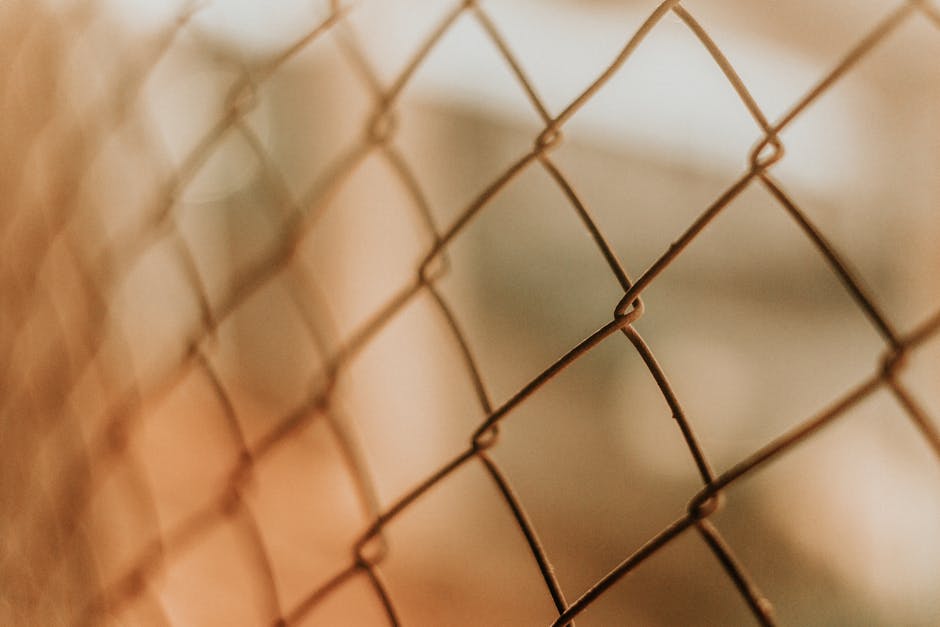 chain link dog fence - small dog fence