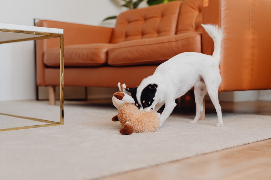 Dog playing with puzzle toy - dig proofer kit