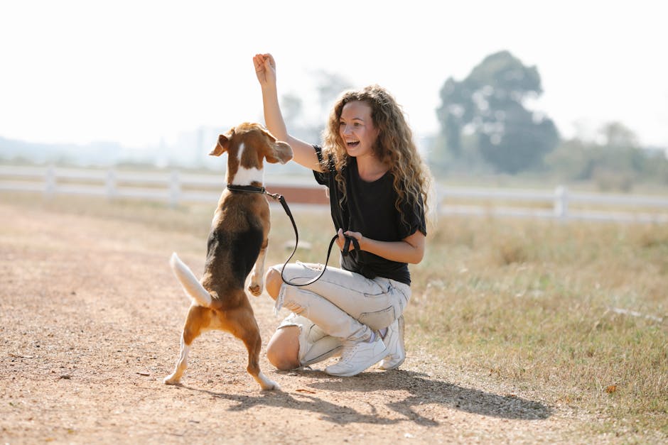 dog training - do invisible dog fences work