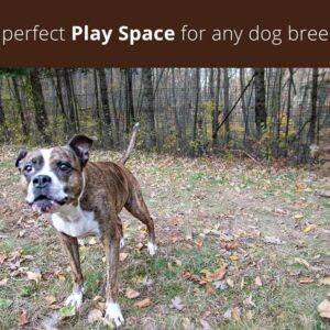 playspace