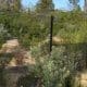 Adapting Your Fence for Aging Pets A Compassionate Approach