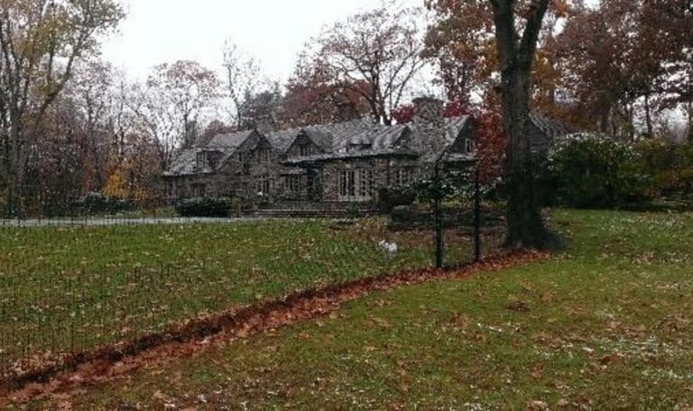The Future is Here AI-Enhanced Pet Fencing Systems