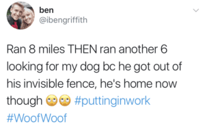 invisible fence
