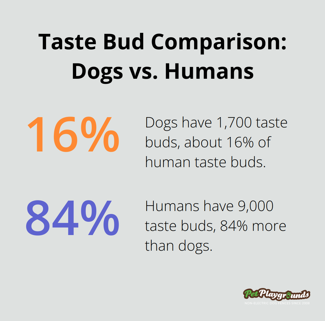 Chart comparing the number of taste buds in dogs (1,700) to humans (9,000) - Bitter-infused mesh