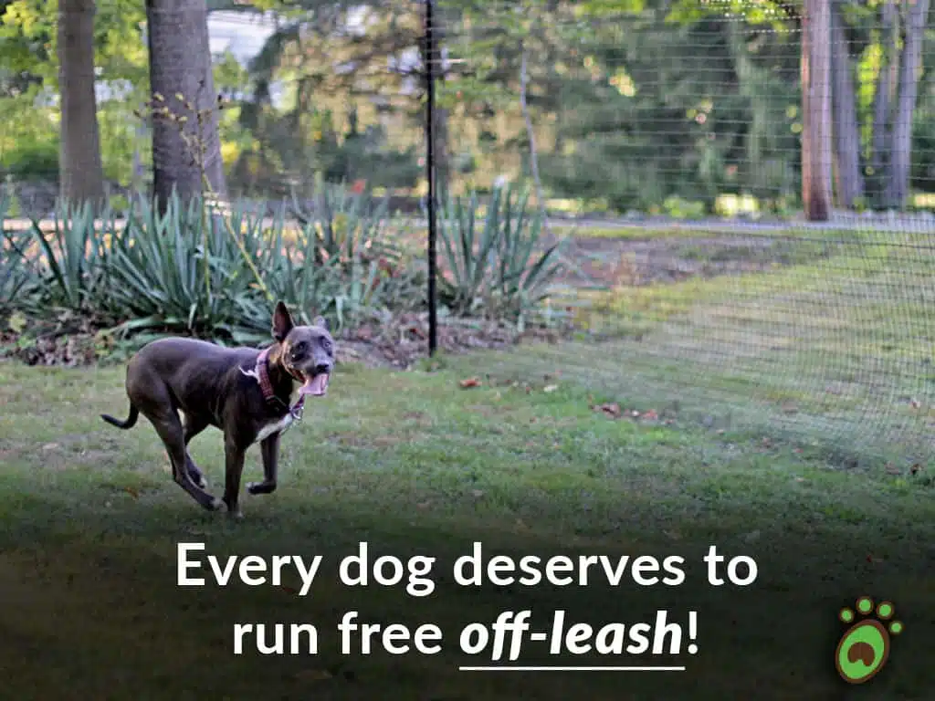 Pet playground Dog Fences 02