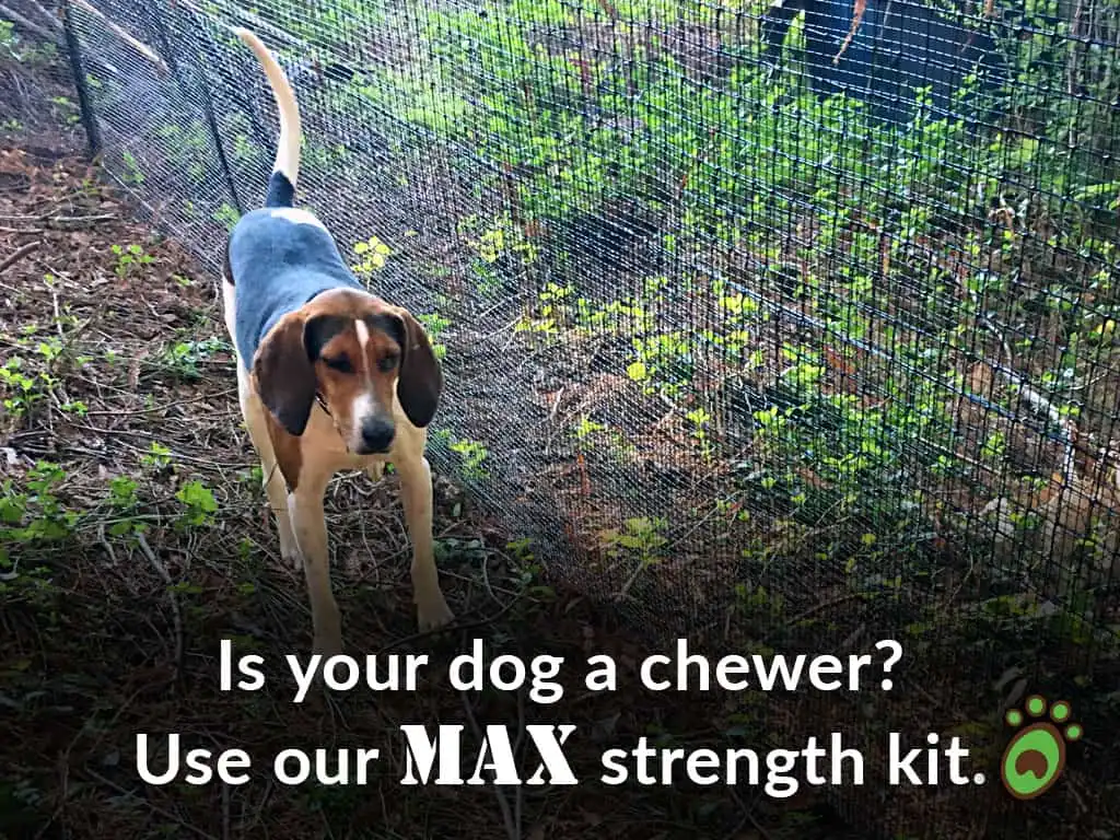 Pet playground Dog Fences