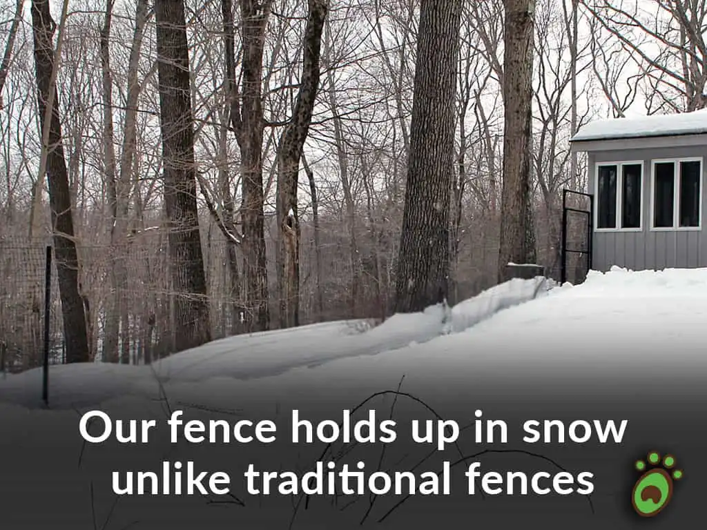 Pet playground Dog Fences