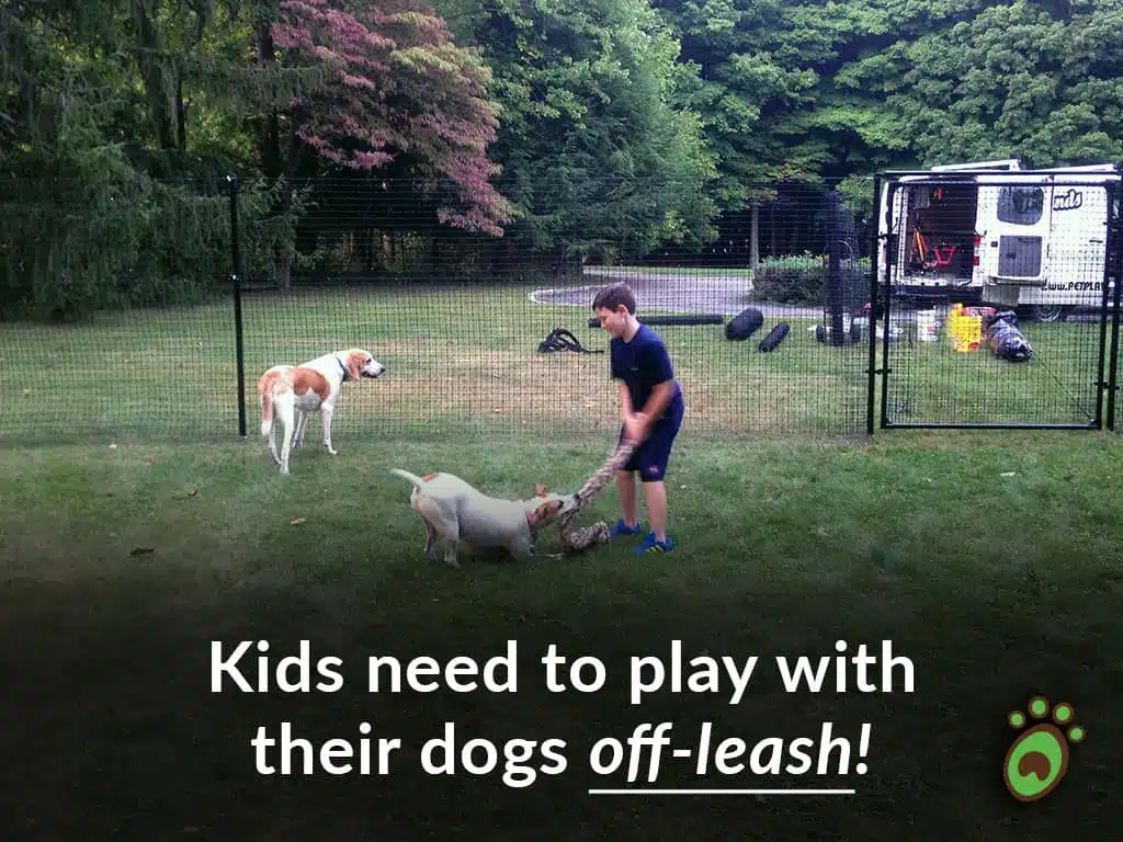 Pet playground Dog Fences