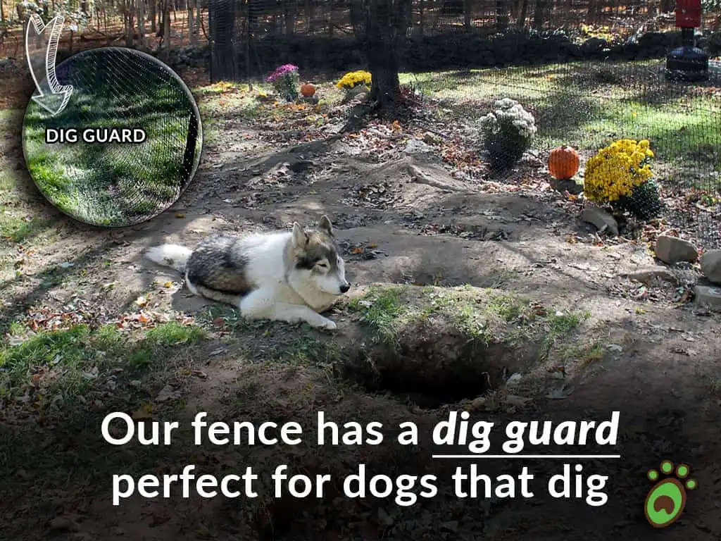 Pet playground Dog Fences