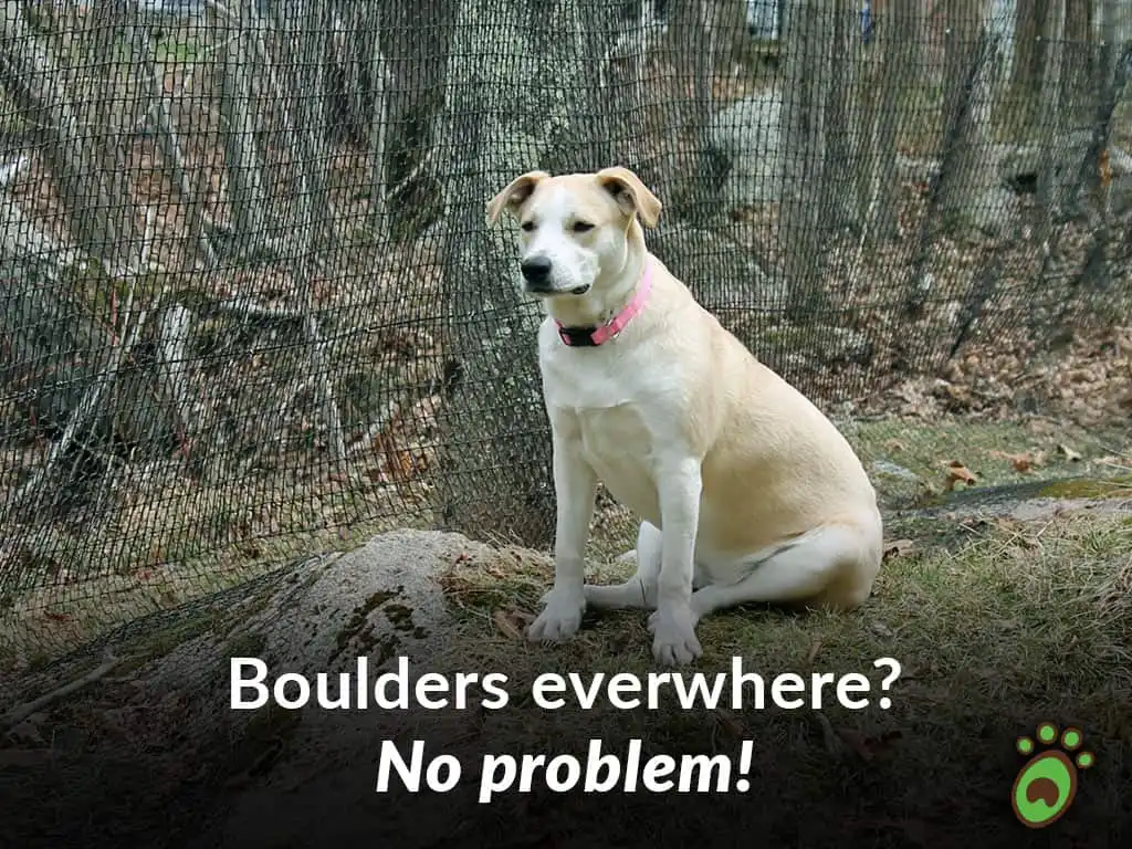 Pet playground Dog Fences