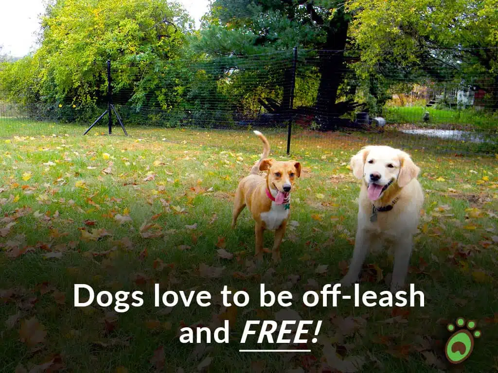 Pet playground Dog Fences