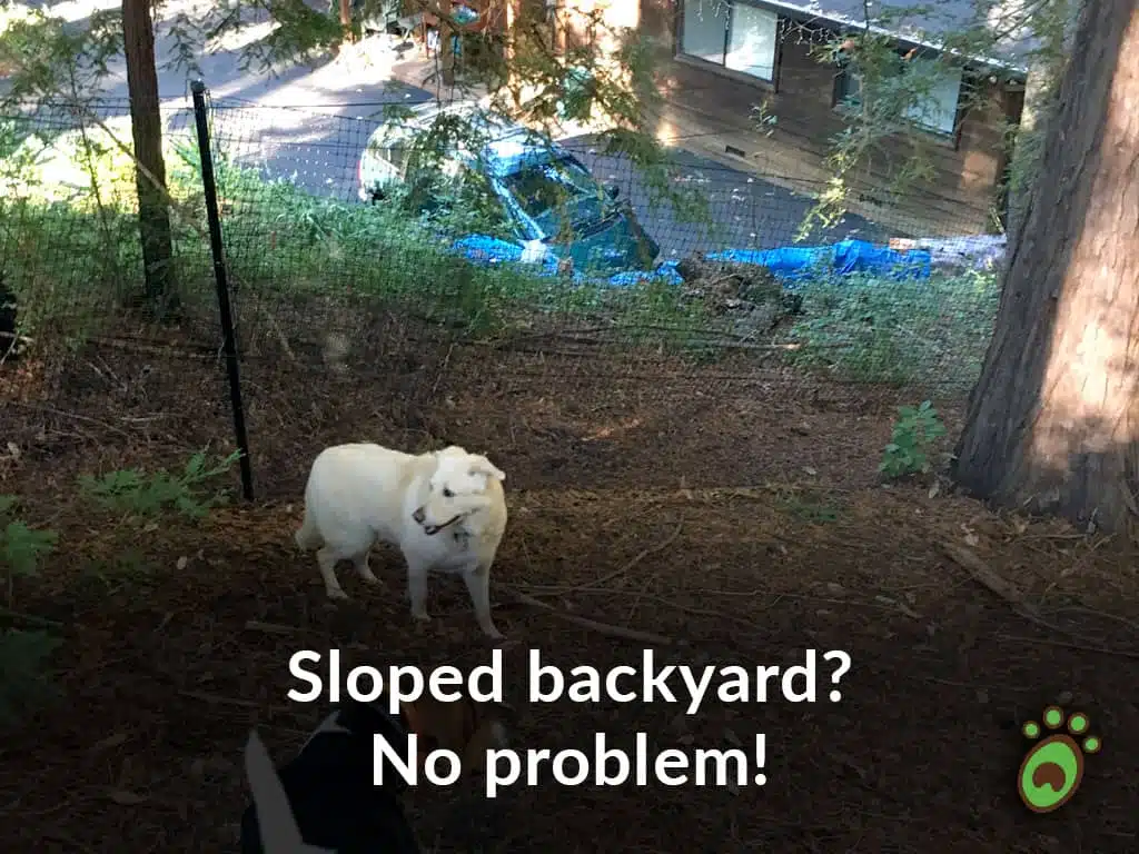 Pet playground Dog Fences