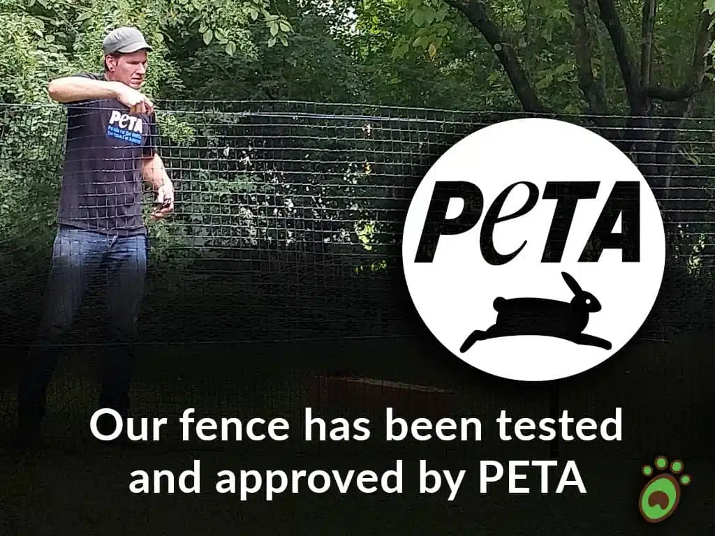 Pet playground Dog Fences