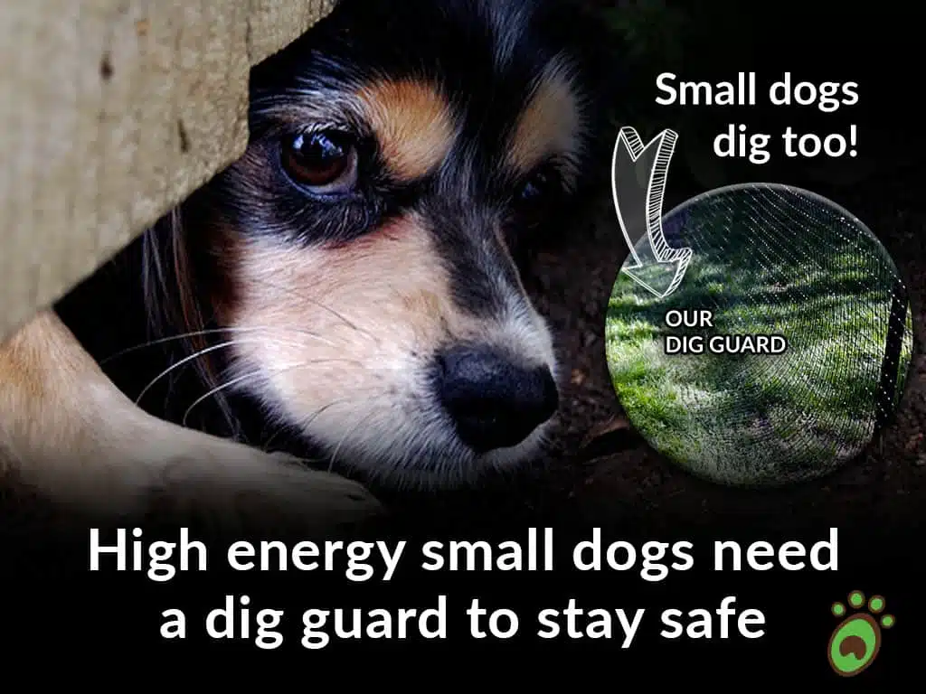Pet playground Dog Fences