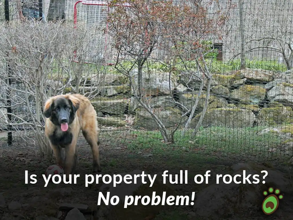 Pet playground Dog Fences
