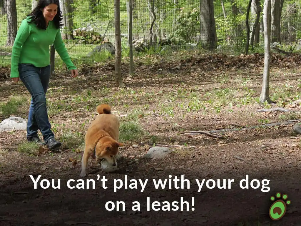 Pet playground Dog Fences