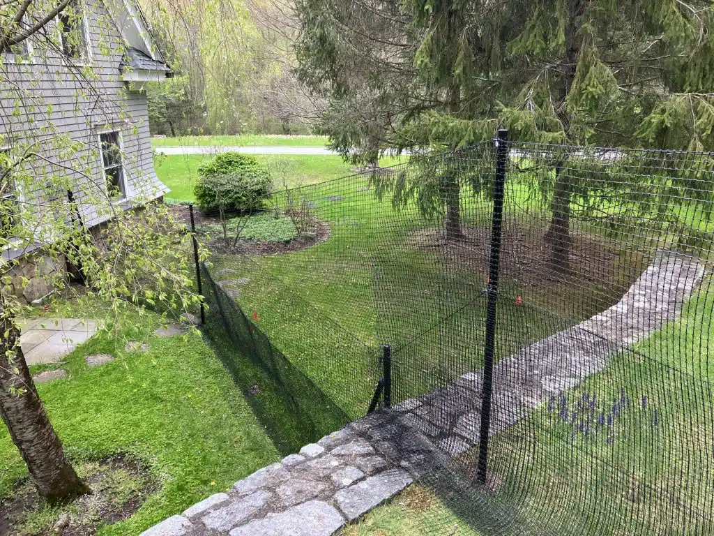 Pet playground Dog Fences